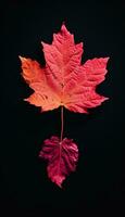 AI generated 4K colorful leaf AMOLED wallpaper photo