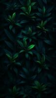 AI generated 4K colorful leaf AMOLED wallpaper for mobile photo