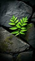 AI generated 4K colorful leaf AMOLED wallpaper for mobile photo