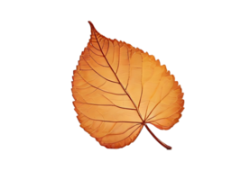 AI generated Autumn leaf PNG