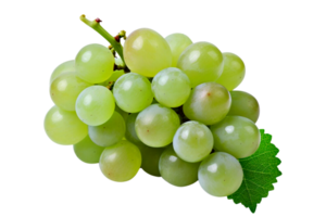 fresco verde uva fruta png
