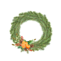 Watercolor illustration.Christmas fir wreath. Spruce New Year wreath. Decorative element. png