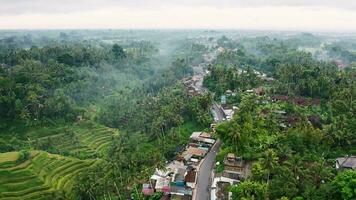 un pequeño pueblo en el zona tropical en bali, zumbido video. video