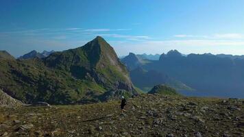 aéreo Visão do menina com uma mochila vai em uma montanha cume. lindo Visão do a atingiu o pico tops do a lofoten ilhas. Noruega 4k video