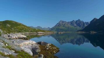 el zumbido es volador mediante un tienda situado en el apuntalar de el noruego fiordo. aventuras y viaje concepto. lofoten islas 4k video