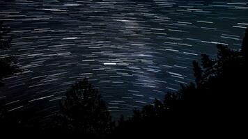 Tempo lapso do Estrela trilhas dentro a noite céu. silhuetas do árvores 4k video