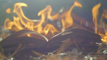 ein öffnen Buch ist auf Feuer. groß hell Flamme, Verbrennung Papier auf alt Veröffentlichung im schleppend Bewegung. Buch Verbrennung - - Zensur Konzept video