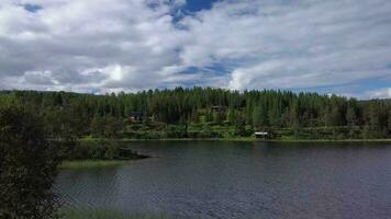 fliegend Über ein Wald und See im das Berge von Norwegen. 4k video