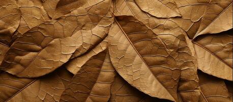 AI generated dry leaf texture background photo