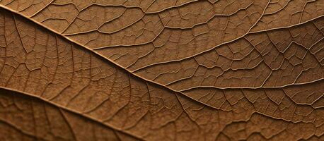 AI generated dry leaf texture background photo