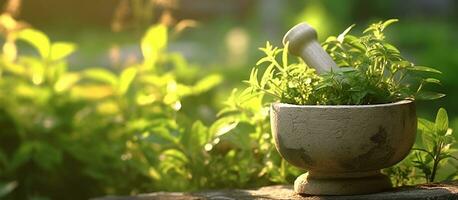 AI generated Mortar with pestle medical plant and sunshine photo