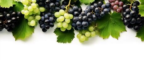 AI generated Green and Black juicy grapes on white background photo