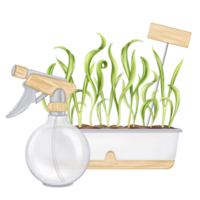 A garden composition of young spinach leaves and a sprayer for watering. Green onions, fresh sprouts in a garden pot. Healthy vegetables grown at home. Organic food products. Isolated illustration png