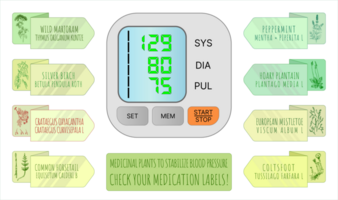 Set of Hand drawn illustrations. TOP MEDICINAL HERBS FOR NORMALIZING BLOOD PRESSURE png