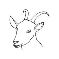 Hand drawn vector illustration in cartoon style. Linear drawing portrait of a goat on a white background.