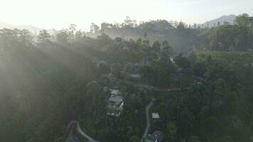 Jungle Huts at Dawn Sri lanka drone view video