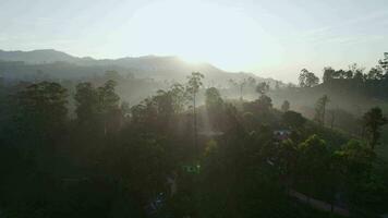 sunrise fog over the jungle of Sri Lanka drone view video