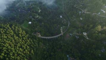 arqueado puente en el selva con niebla sol zumbido ver video