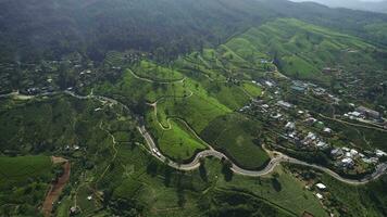 thé plantations et route à le coucher du soleil drone vue video