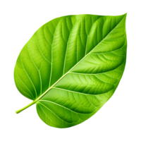 AI generated Green Leaf Isolated on Transparent Background png