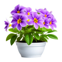 ai generato viola fiori nel pentola isolato su trasparente sfondo png
