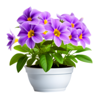 ai gegenereerd Purper bloemen in pot geïsoleerd Aan transparant achtergrond png