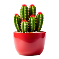 AI generated Cactus in Pot Isolated on Transparent Background png