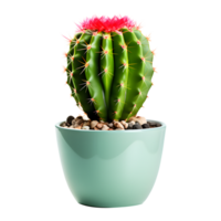 AI generated Cactus in Pot Isolated on Transparent Background png