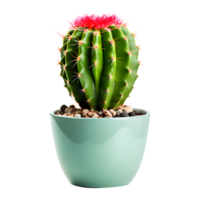 ai gegenereerd cactus in pot geïsoleerd Aan transparant achtergrond png