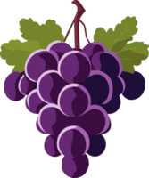 AI generated bunch of grapes illustration png