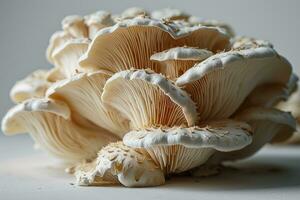 AI generated oyster mushrooms in the kitchen table professional advertising photography photo