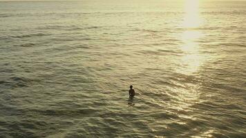 Man on surfboard waiting for wave in the sea video