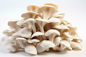 AI generated oyster mushrooms in the kitchen table professional advertising photography photo