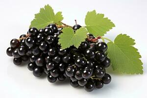 AI generated ripe,blackcurrant berries fruit in the kitchen table professional advertising food photography photo