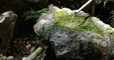 un lento movimiento de japonés bambú agua fuente shishi-odoshi en zen jardín video