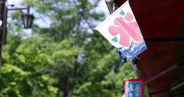 ein japanisch Geschäft Vorhang hinter das Grün Baum im Sommer- im Tokyo video