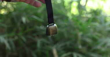 A bear bell with hand at the green forest in Autumn close up video