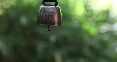 ein Bär Glocke mit Hand beim das Grün Wald im Herbst schließen oben video