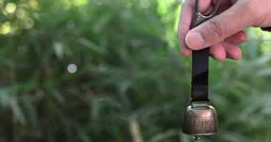 A bear bell with hand at the green forest in Autumn close up video