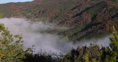 uma mar do nuvens às a topo do a montanha dentro Quioto telefoto tiro video