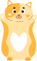 cat plush toy png