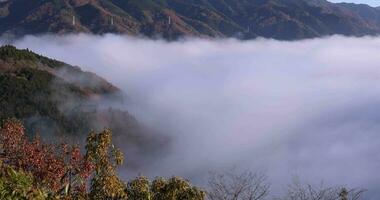 uma mar do nuvens às a topo do a montanha dentro Quioto video
