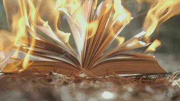 un Aperto libro è su fuoco. grande luminosa fiamma, ardente carta su vecchio pubblicazione nel lento movimento. libro ardente - censura concetto video