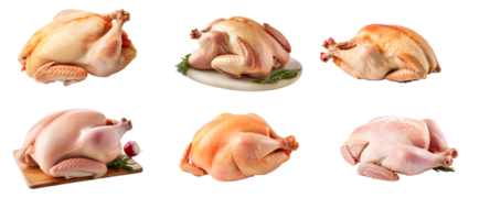AI generated collection set of Fresh raw chicken on a transparent background. png