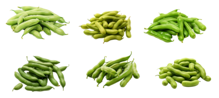 AI generated Set of Green Beans with transparent background. png