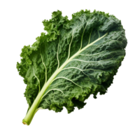 AI generated kale with transparent background. png