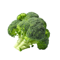 AI generated Broccoli ,transparent background. png