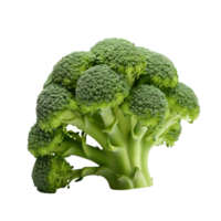 AI generated Broccoli ,transparent background. png