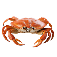 AI generated Crab isolated on transparent background. png