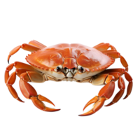 AI generated Crab isolated on transparent background. png